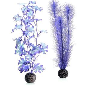 🌸HP🌸Biorb Kelp Set!